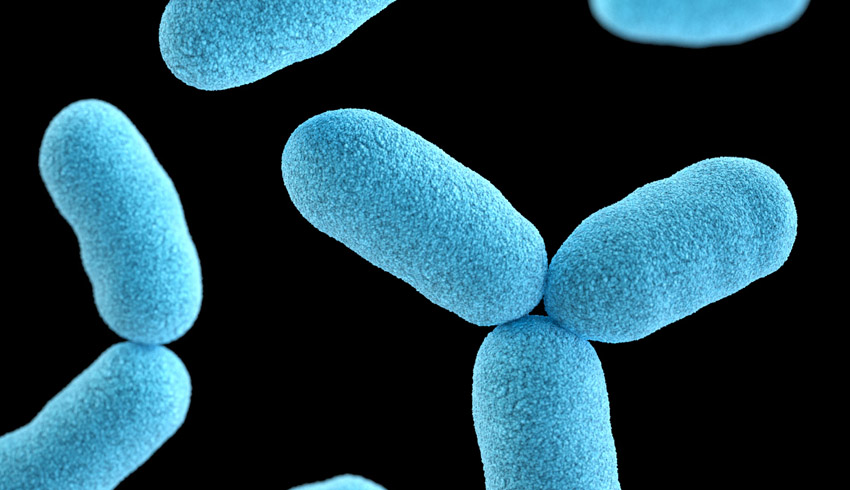 New study finds that bacteria on ISS no more dangerous than Earth-based strains