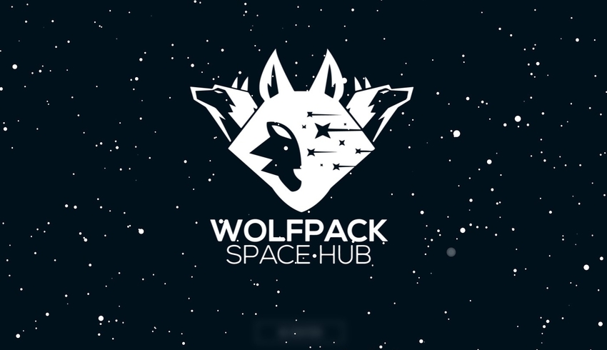 Wolfpack receives $500k grant to support Aussie startups 